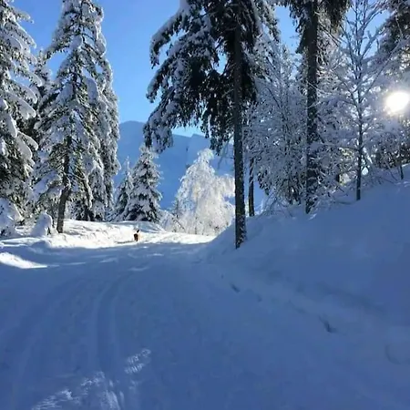 La Cabane D'en